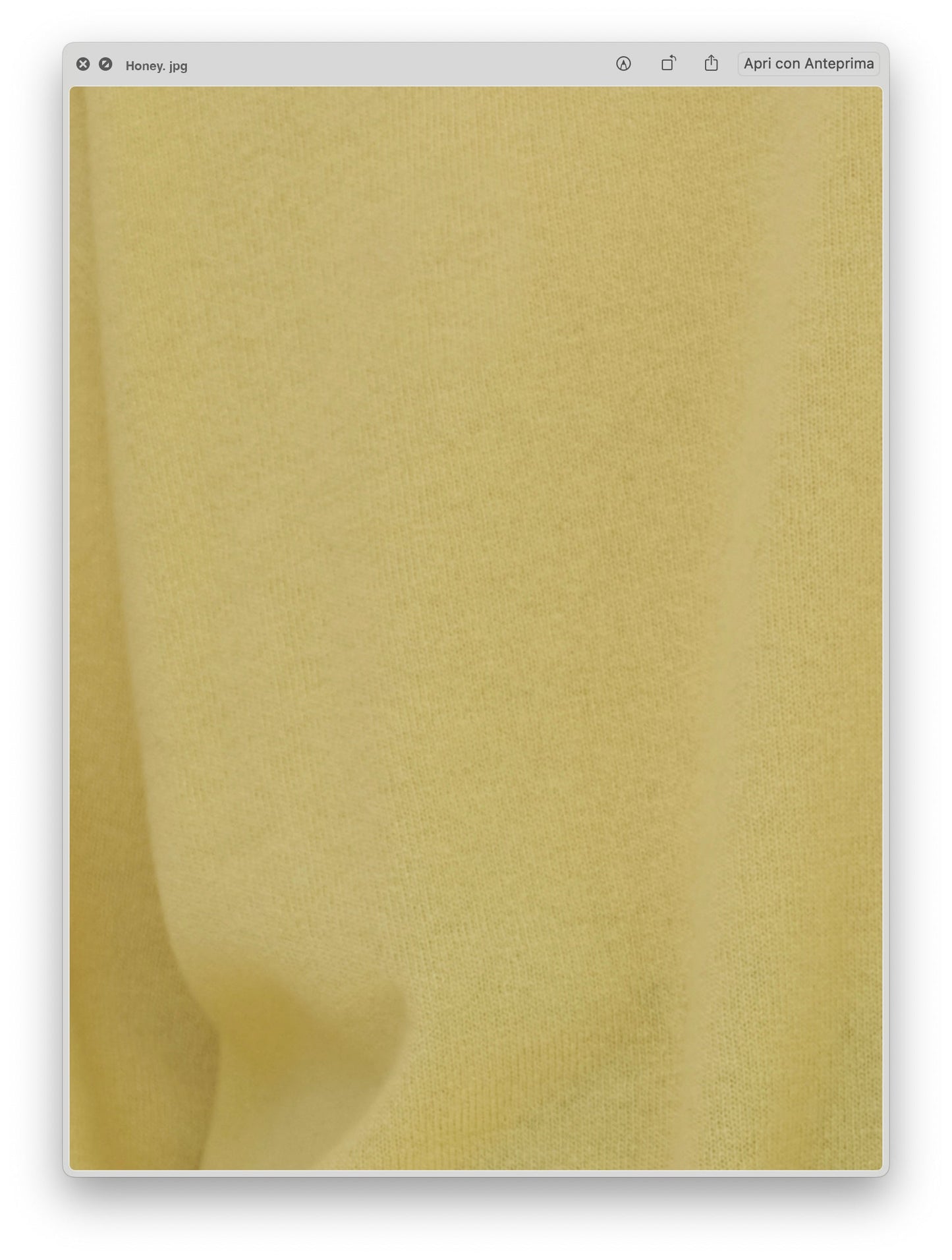 Pure Cashmere Cardigan